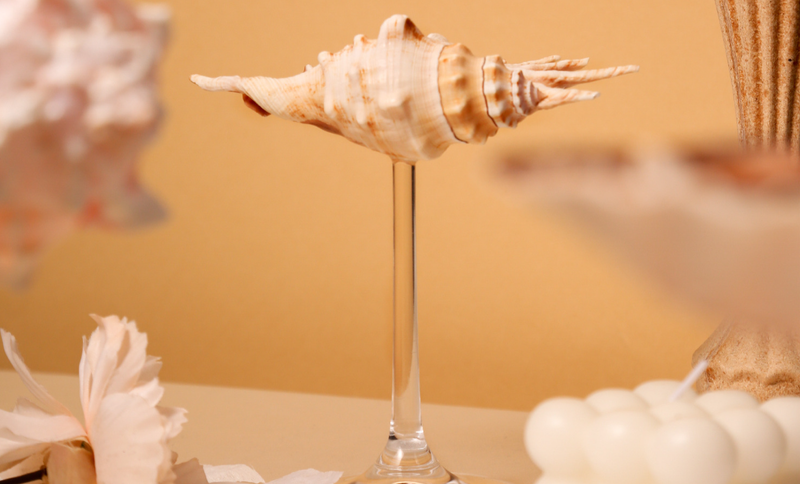 Portagioie squisito in vetro di vino con conchiglia naturale pura, utilizzato per decorare collane di gioielli, campanelli eolici per aromaterapia_voghion.com