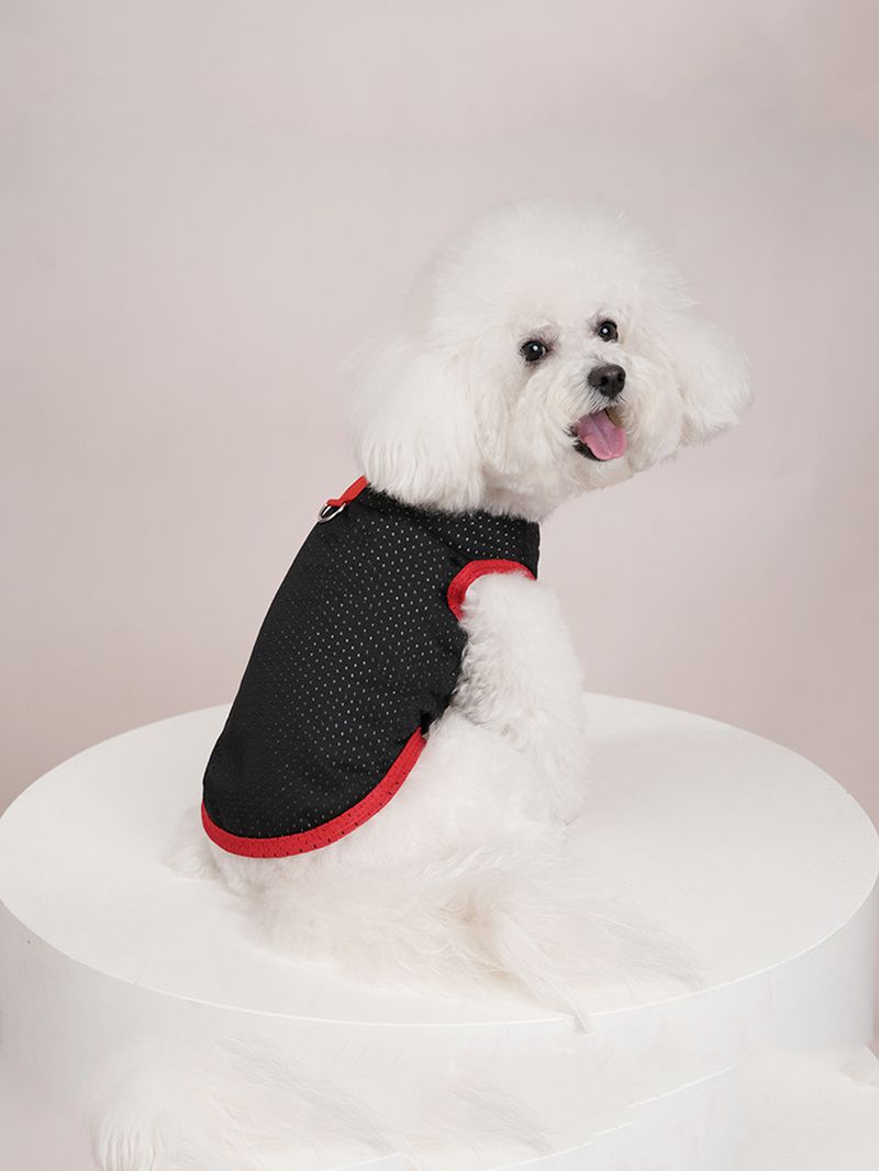 1 Piece Of New Pet Clothing For Spring & Summer - Hollowed-Out Vest & Breathable T-Shirt, Apparel For Small & Medium Pets (Teddy, Bichon Frise, Etc.)_voghion.com