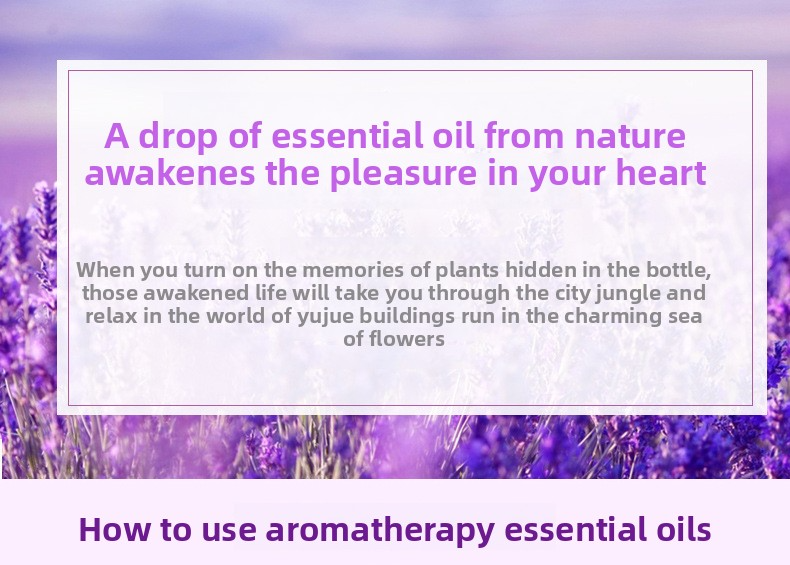 Ätherische Aromatherapie-Öle für Luftbefeuchter – 16 Düfte, wasserlöslich, auf Pflanzenbasis zur Entspannung und Lufterfrischung_voghion.com