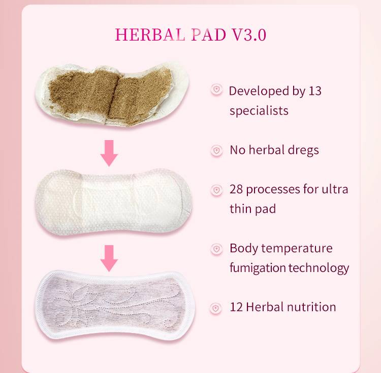Prof.Ding Removing Itching And Odor Cleaning Natural Herbal Wingless Pads Period Pads For Women Menstrual Feminine Care_voghion.com