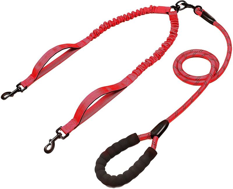 Pet Dual One-to-Two Double-Headed 2 Leashes Retractable Elastic Glow-in-the-Dark Anti-Tangle Dog Leash_voghion.com