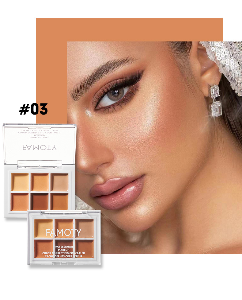 Concealer 6 färger Palett Långvarigt skydd Mörka cirklar Acne Porer Cream Shading Highlighter Återfukta_voghion.com