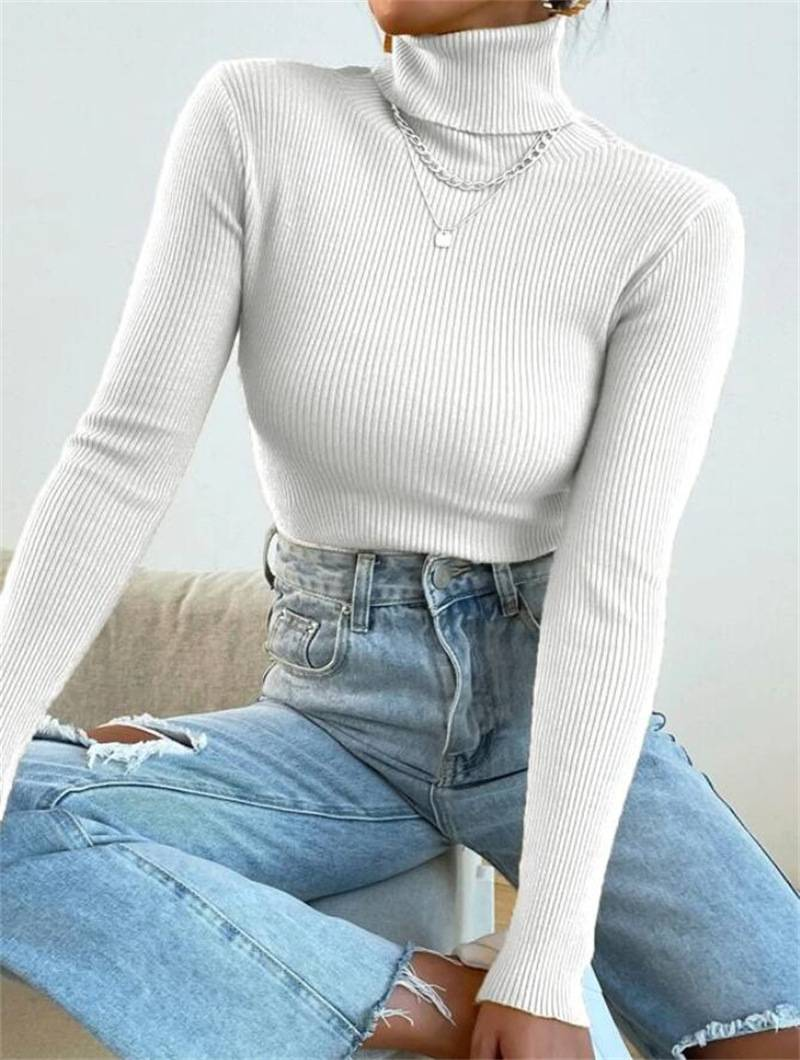 2024 Autumn Winter Women Long Sleeve Knitted Foldover Turtleneck Ribbed Pull Sweater Soft Warm Femme Jumper Pullover Clothes_voghion.com