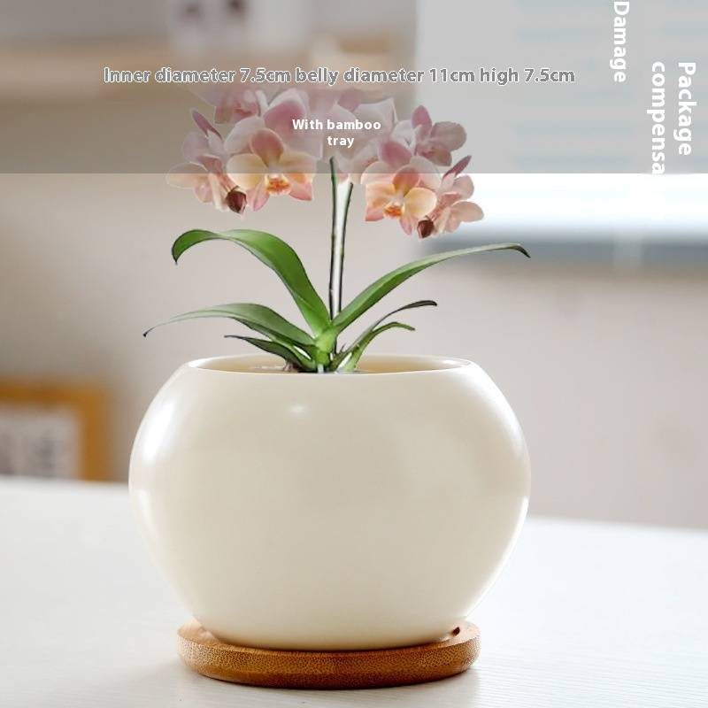 Keramik-Blumentopf mit Untertasse – Stilvolles Wohndekor für Sukkulentenpflanzen – Modernes und elegantes Design_voghion.com
