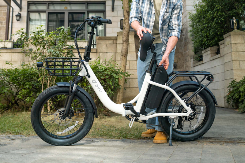 DYU C9 Elektrofahrrad für Erwachsene 20 Zoll 48V 15,6Ah Batterie_voghion.com