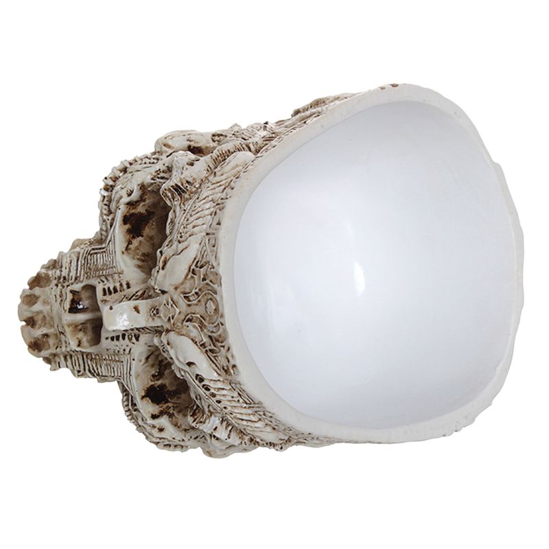 Totenkopf Übertopf - Gothic Halloween Blumentopf Sukkulenten Behälter mit Abflussloch Keramik Geschenk Dekor_voghion.com