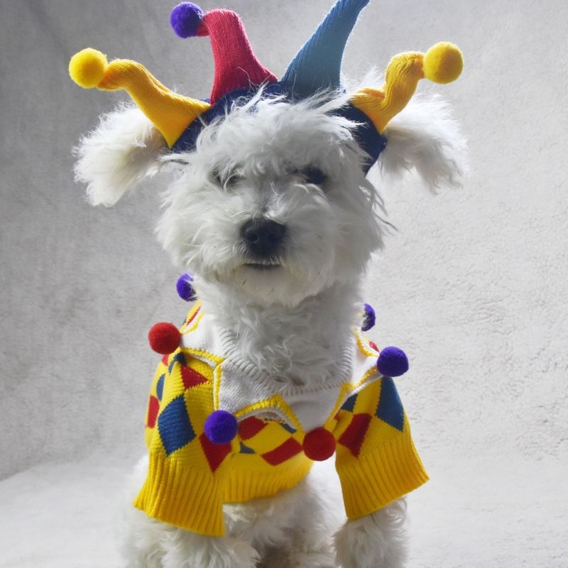 Autumn And Winter Cute Funny Crazy Circus Clown Sweater Halloween Cat Set Pet Dog Clothes_voghion.com