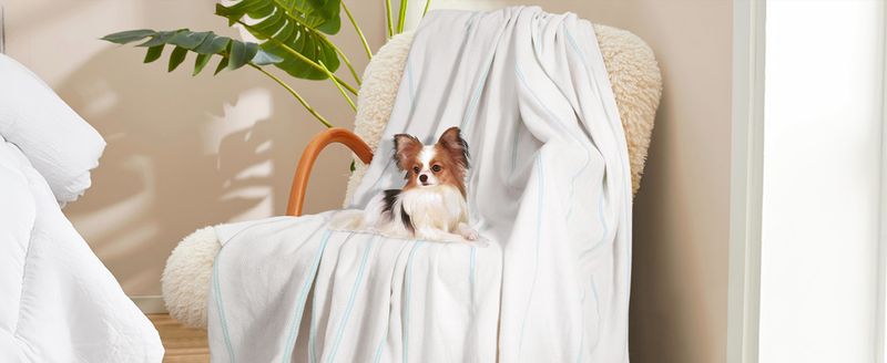 Grande serviette de plage turque en coton, couverture de pique-nique, séchage rapide, légère, extra-large, résistante au sable, nuage, Hawaii, lune de miel_voghion.com