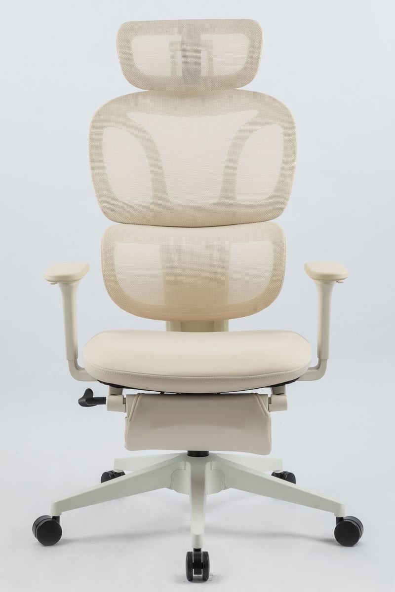 Ergonomic Office Chair With Footrest, High Back Computer Office Chair With Dynamic Lumbar Support, 2D Headrest, 2D Armrest, Sponge Seat, Mesh Home Office Desk Chair For Adults, CREAM_voghion.com