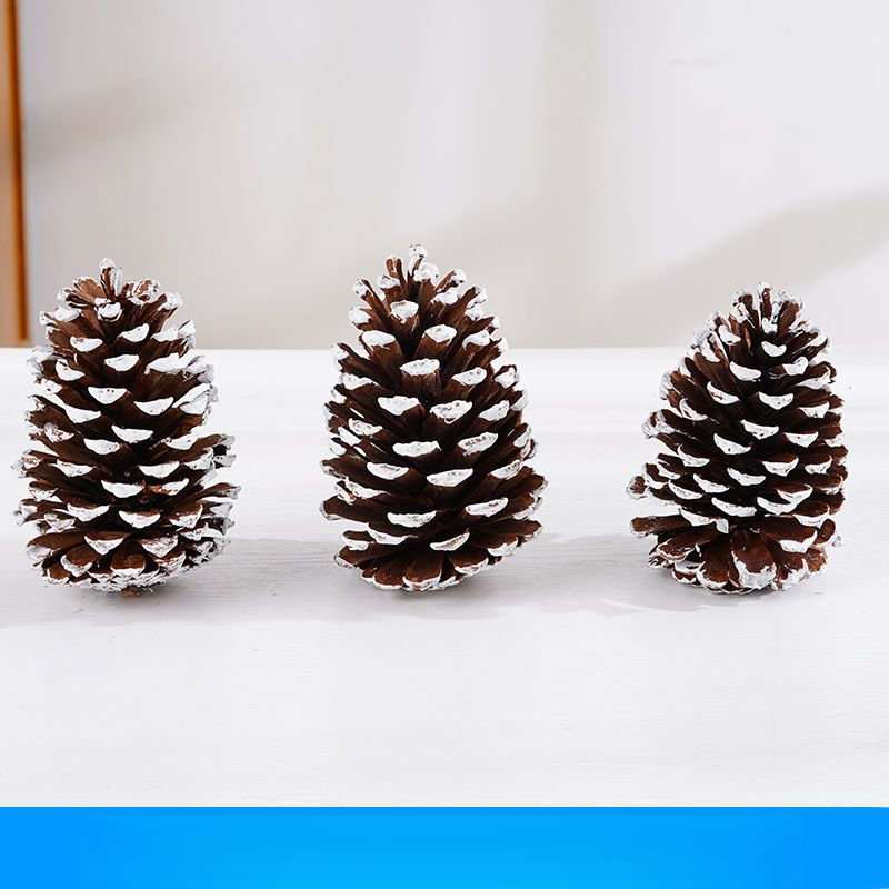 Décoration Pomme de pin Gland Fleur Fait main DIY Forêt Maternelle Création environnementale Branches séchées Sauvage Créatif_voghion.com