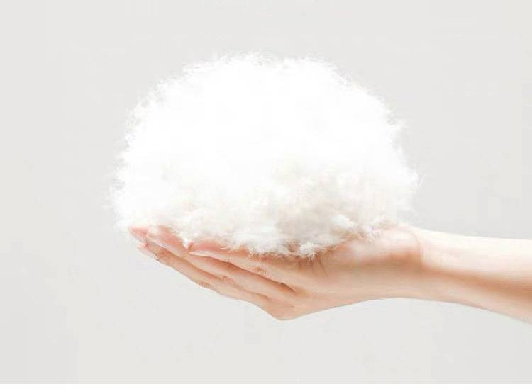 Lichtgewicht donsjack voor dames met witte eendenveren, korte gewatteerde jas, slanke pasvorm en opstaande kraag, losse, casual winterjas voor kleine mensen, warm_voghion.com