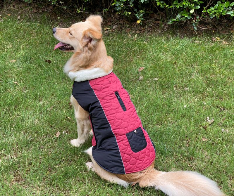 Pocket new pet clothes autumn and winter dog clothes vest cotton coat double sided wearable dog clothes coat clothing_voghion.com