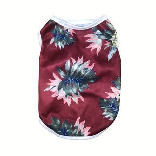 Neue Sommer-dünne Haustierkleidung Atmungsaktives Vogelaugengewebe Katze Sonnenschutz Reise Hund Pfote Kühlweste_voghion.com