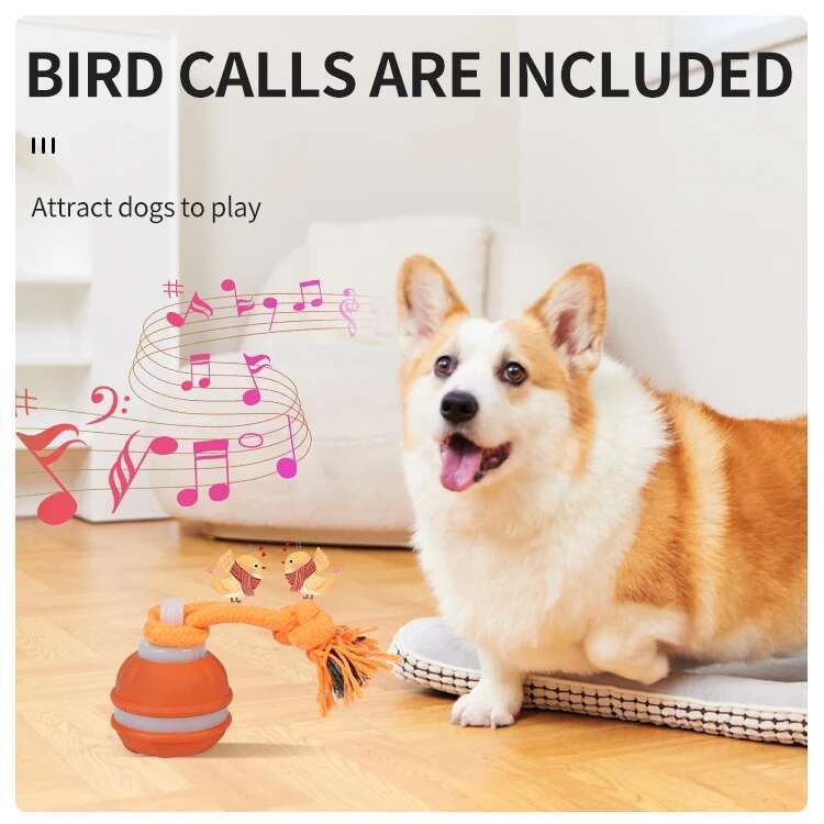 Balle interactive et intelligente pour chien, jouet couineur à mouvement automatique, jouet à mâcher pour chiots, corde incluse, par PawParty Store_voghion.com