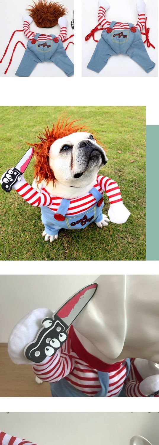 Internet Celebrity Same Style Funny Funny Small Dog Changing Clothes Pet Funny Dog Cat Pet Clothes_voghion.com