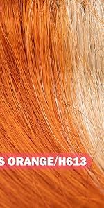 Parrucche ricce corte da 8 pollici alla moda con frangia Parrucche ricce per capelli umani per donne nere Capelli umani vergini brasiliani 10A Densità 150% Indossa e vai senza colla_voghion.com