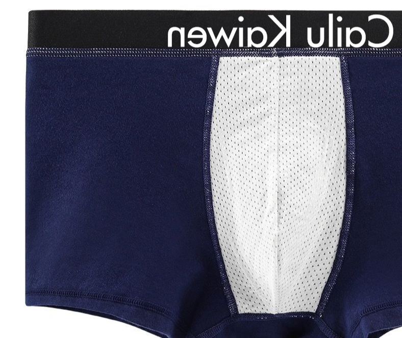 Underwear & Sleepwears Boxed Men's Underwear Pure Cotton Boxer Briefs Antibacterial Solid Color Tin Gift Box Boxer Briefs_voghion.com