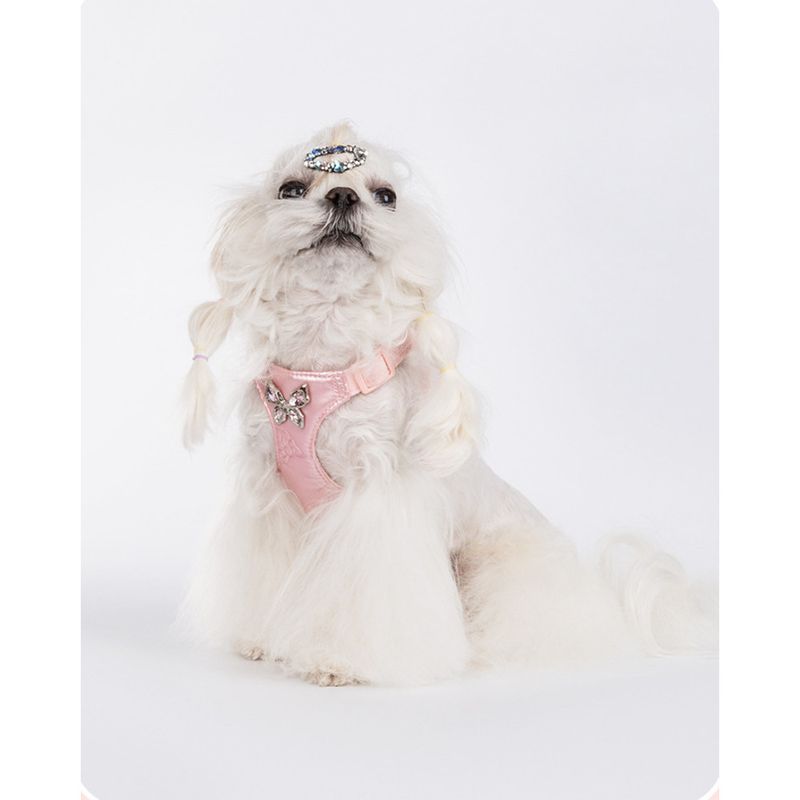 New Small Easy Walking Metal Bow Dog Leash Exquisite Pet Harness_voghion.com