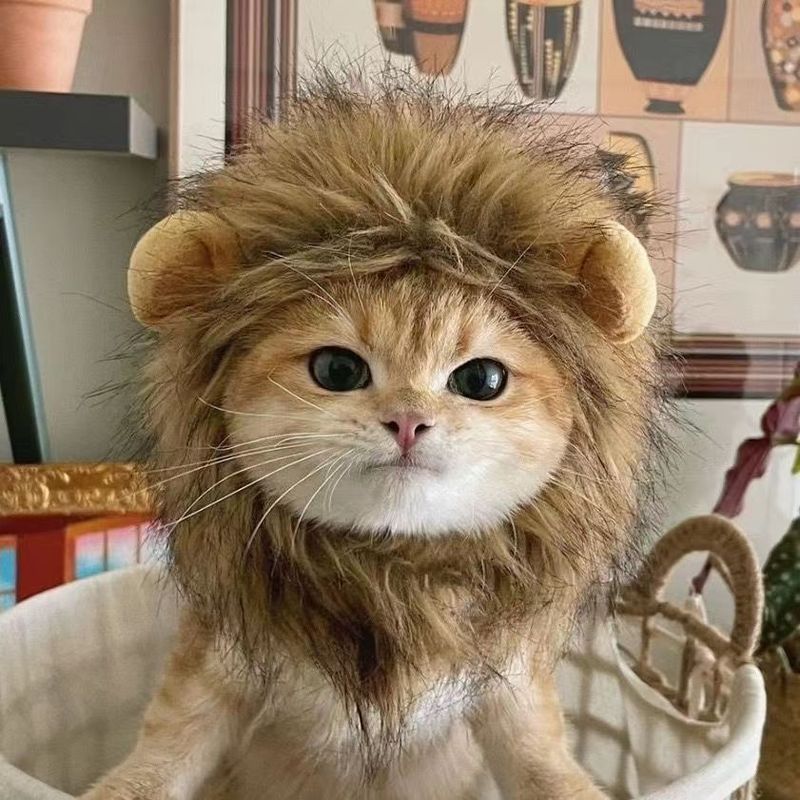 Cappello da travestimento per Halloween, con parrucca da leone, orecchie da coniglio, per animali domestici, gatto e cane_voghion.com