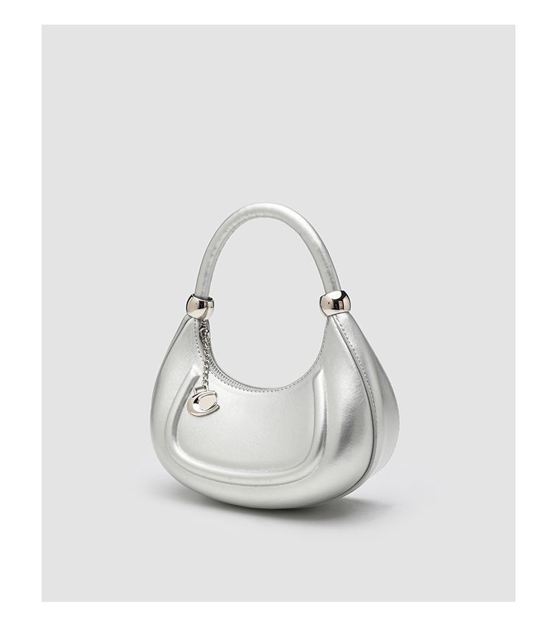 CHARHP&KEJNT Hailey Diary Crescent Women's Small Handbag Single Shoulder Crossbody Bag_voghion.com