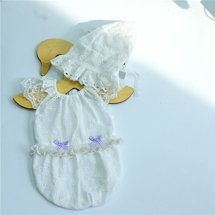 Koreaanse Ins-stijl huisdierkleding, hondenshirt met capuchon, teddybeer, bichon, yorkie, lente-zomer, holle kleding_voghion.com