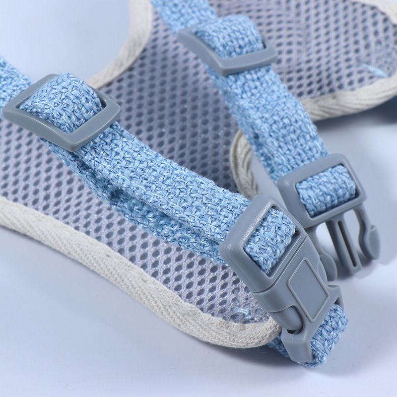 Neue Outdoor-Leine für kleine Haustiere für Hunde, Katzen, Meerschweinchen, Kleidung, Geschirr, Weste im Cartoon-Bär-Stil, Zugseil_voghion.com