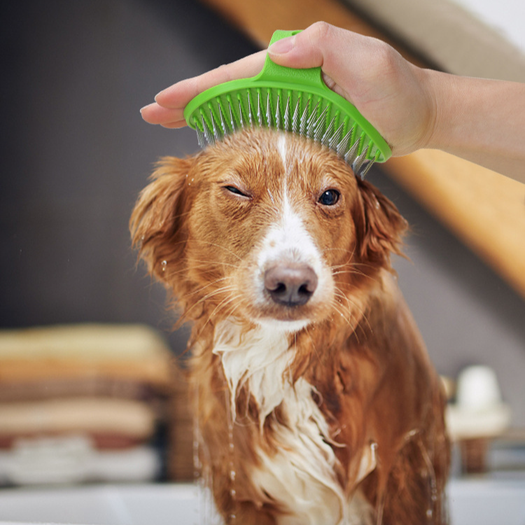 Pet Fırçası Kedi Köpek Banyo Fırçası Evcil Hayvan Yavru Kedi Masaj Fırçası Köpek Masaj Banyo Tek Kullanımlık Temizlik Eldivenleri_voghion.com