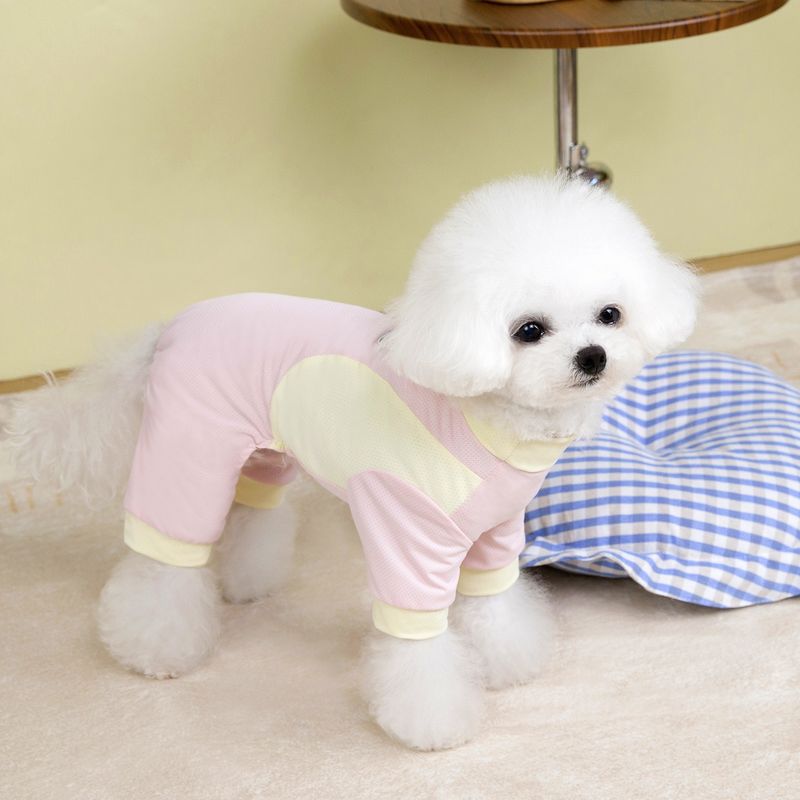 Spri ve Yaz Buz İpek Hafif File Dört Ayaklı Yelek Açık Renkli Açık Hava Cooli Nefes Alabilir Küçük Köpek Evcil Hayvan_voghion.com