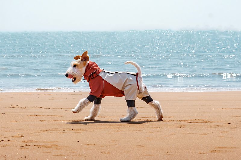 Dog Four-Legged Raincoat Waterproof Wear-Resistant Lightweight Jacket Pet-Specific Rainy Day Full Coverage Windproof Pet_voghion.com