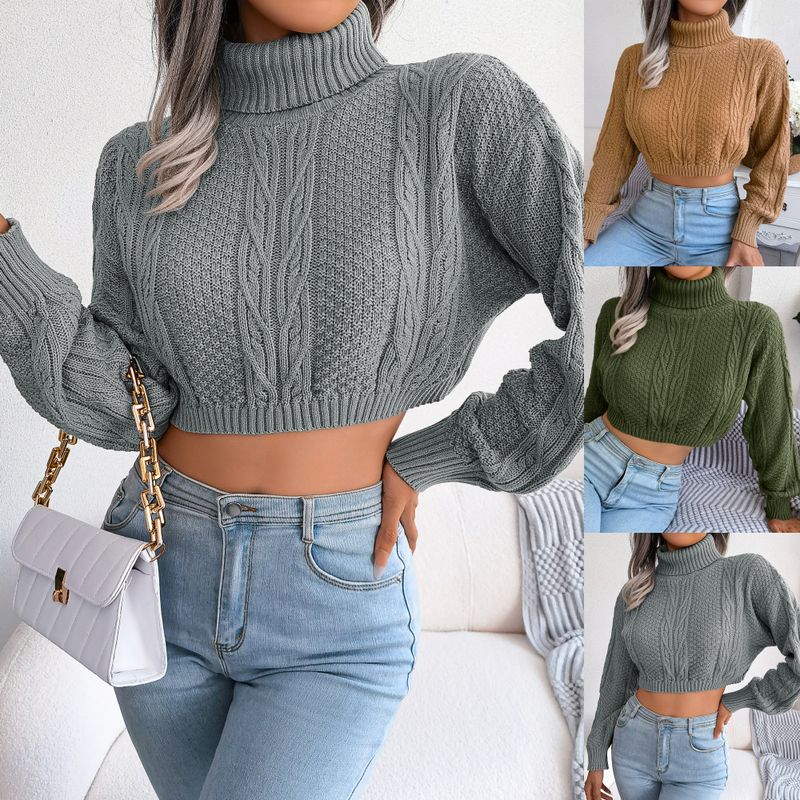 Ins Style Herbst Winter Casual Zopfmuster Langarm High Neck Cropped Pullover Damenmode_voghion.com