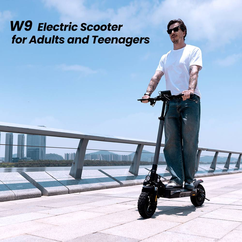 Elektroroller für Erwachsene IScooter W9 48V 14Ah Batterie, 10 Zoll_voghion.com