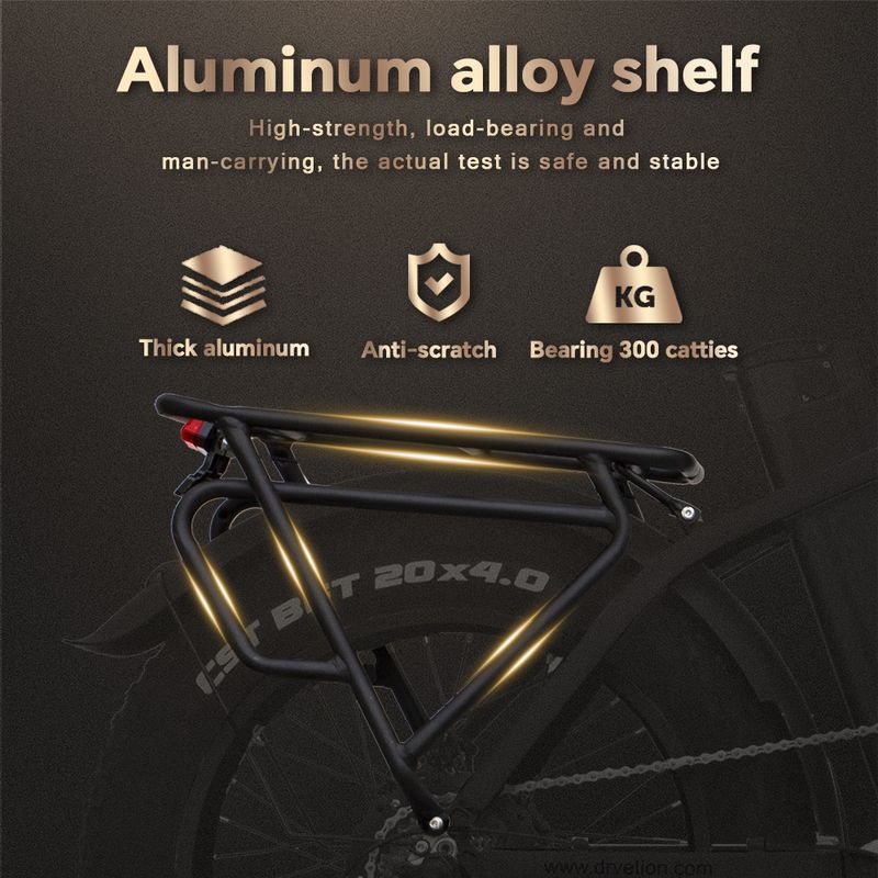 DRVETION CT20 Elektrische fiets met voormand 250W 48V 20AH accu_voghion.com