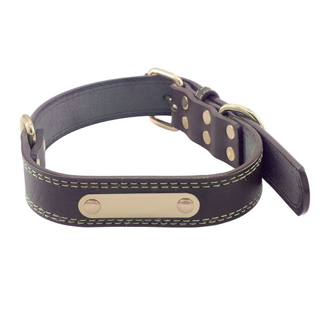 Collar de cuero grabado Pawstrip para bulldog francés y pitbull grande, collar de correa para cachorros de PawParty Store_voghion.com