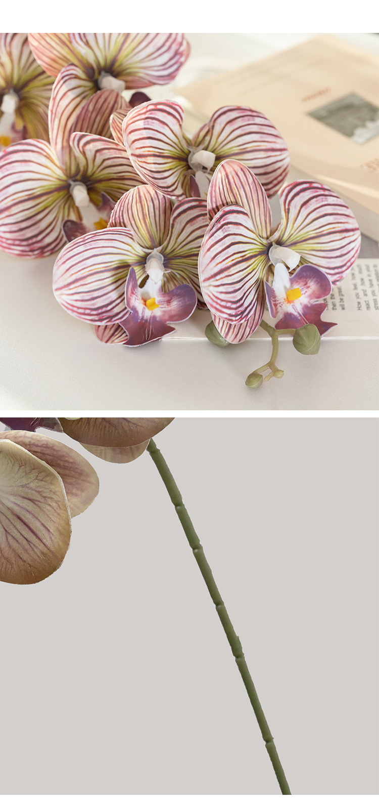 Artificial & Dried Flowers Green Plant Milk Candy Nine Head Hand Feel Moisturizing Phalaenopsis Artificial Flower Flower Wedding Decorations_voghion.com