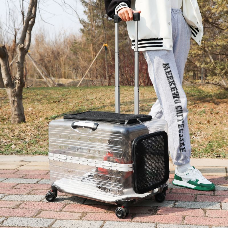 Pet Trolley Cat Capacity Two Medium And Large Pets Outgoing Bag Transparent Travel Box Portable Dog_voghion.com