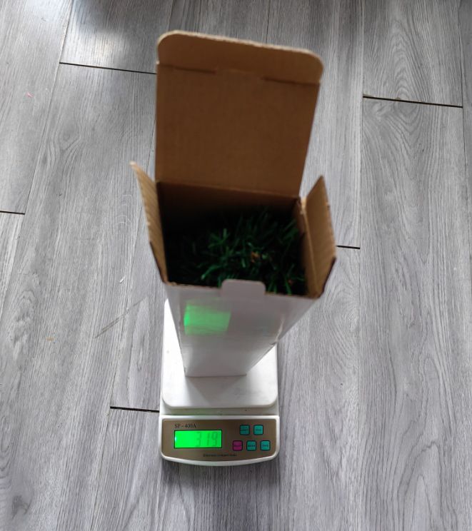 New Large Size Glowing Solar Christmas Tree LED Colorful Garden Courtyard Outdoor Waterproof Landscape Atmosphere Lights_voghion.com