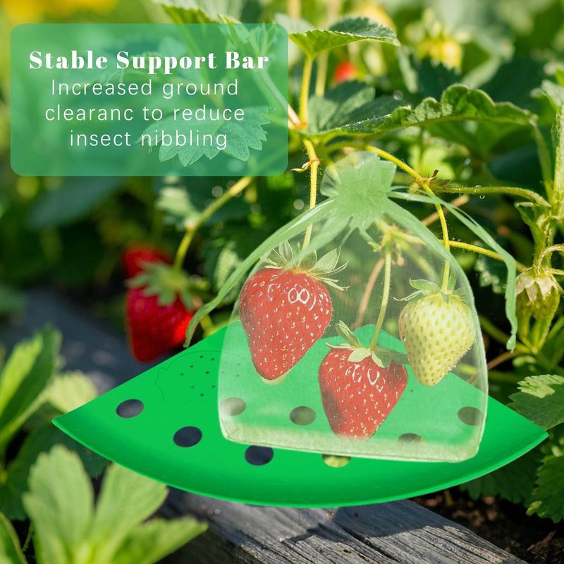 8Pcs Strawberry Planting Kit With 20Pcs Insect-proof Mesh Bag Reusable Strawberry Growing Racks Frame Protecting Strawberry Plants_voghion.com