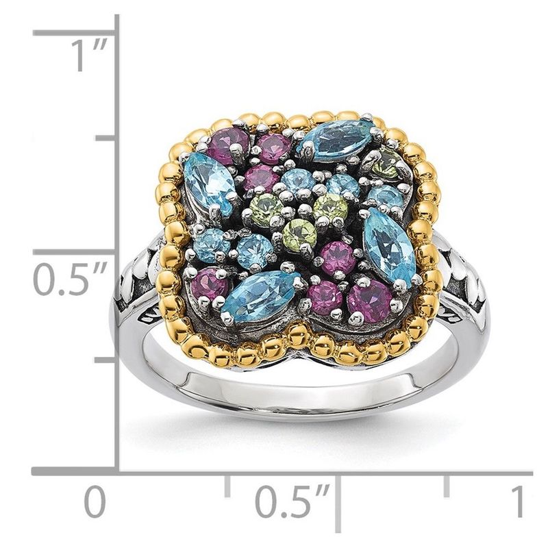 Sterling Silver W/14k Accent Multi Gemstone Ring_voghion.com