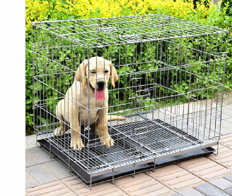 Gabbia pieghevole portatile per cani, gatti, polli e conigli in acciaio ad angolo_voghion.com