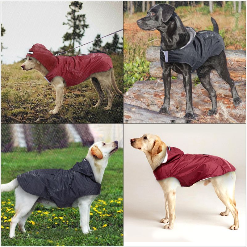 Poncho antipioggia per cani di taglia grande e piccola, impermeabile, antivento, con cappuccio, taglia unica, riflettente_voghion.com
