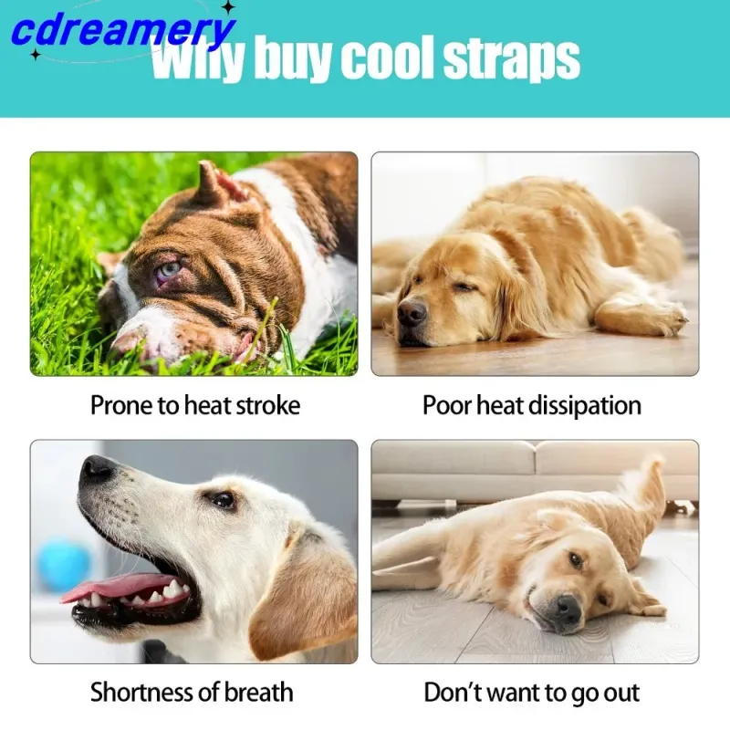 SummerCooling DogVest Ademende Mesh Kleding Voor Kleine Grote Honden Buiten Koele Jassen Verstelbare Hondenkoeljas_voghion.com