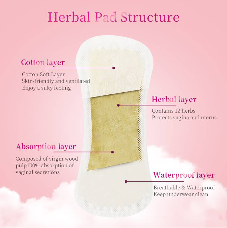 Prof.Ding Removing Itching And Odor Cleaning Natural Herbal Wingless Pads Period Pads For Women Menstrual Feminine Care_voghion.com