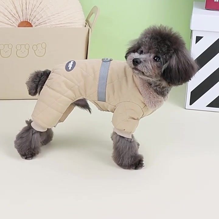 PawParty Store'dan CDDMPET Kışlık Polyester Köpek Tulumu_voghion.com
