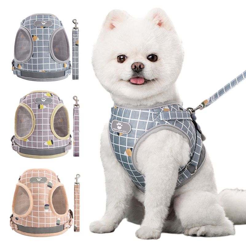 Reflektierendes, atmungsaktives Netzgeschirr für kleine Hunde mit Leine, Mops, Chihuahua, französische Bulldogge, Hundegeschirr, Welpe und Katze von PawParty Store_voghion.com