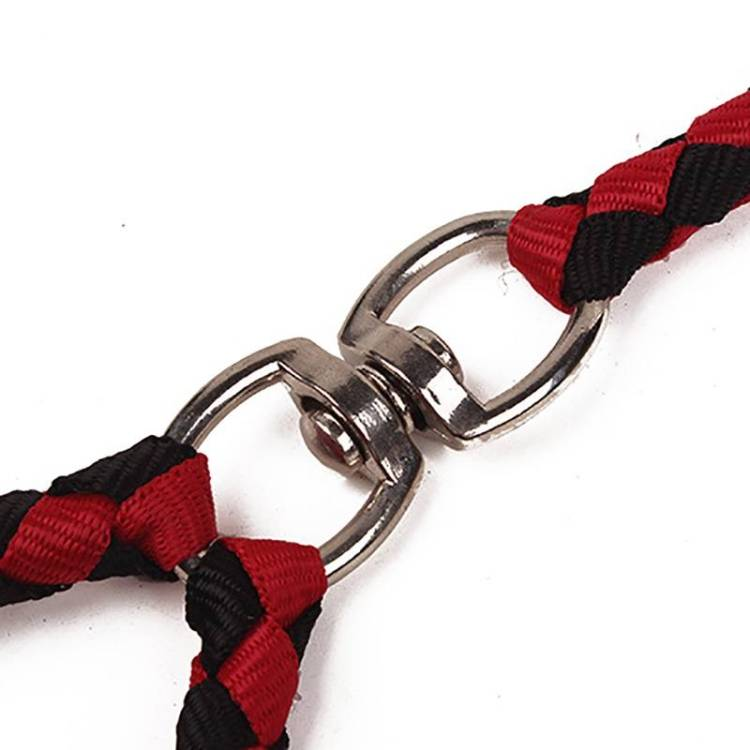 Double Dog Leashes Anti-winding Pet Traction Rope_voghion.com