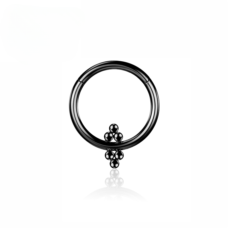F136 Anelli al naso in titanio e zircone Piercing al setto Cartilagine Segmento incernierato Spirale 16G Orecchini Trago Elica Regalo Gioielli all'ingrosso_voghion.com