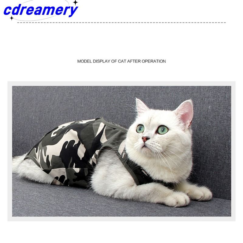 Cat Rehabilitation Clothing Specifically Designed For Abdominal Wounds Or Skin Diseases In Cats And Dogs After Surgery_voghion.com