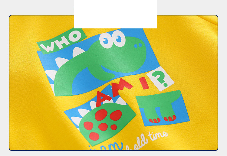 Foreign Cartoon Pattern Hoodie Boys Cotton Base Children's Comfortable Soft Turtleneck Pullover_voghion.com