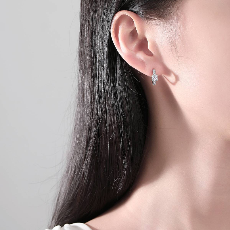 Damenschmuck, elegante runde Ohrstecker mit Mikro-Pavé-Zirkonia, minimalistisches geometrisches Design für den Alltag, Zirkon-Ohrringe_voghion.com