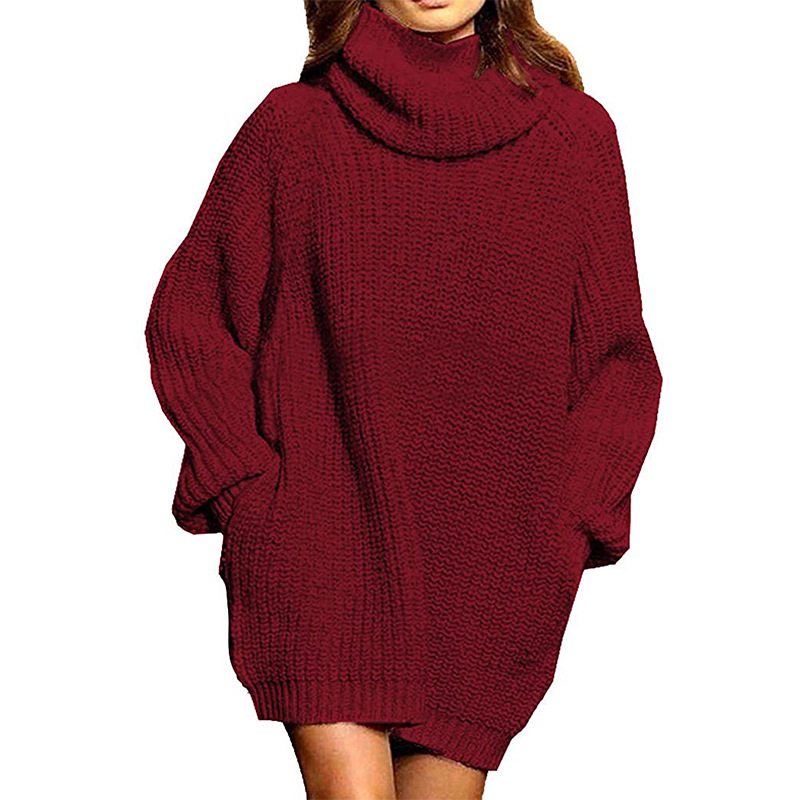 Women's autumn and winter fashion long sleeve turtle neck ladies long knit dress women's dress_voghion.com